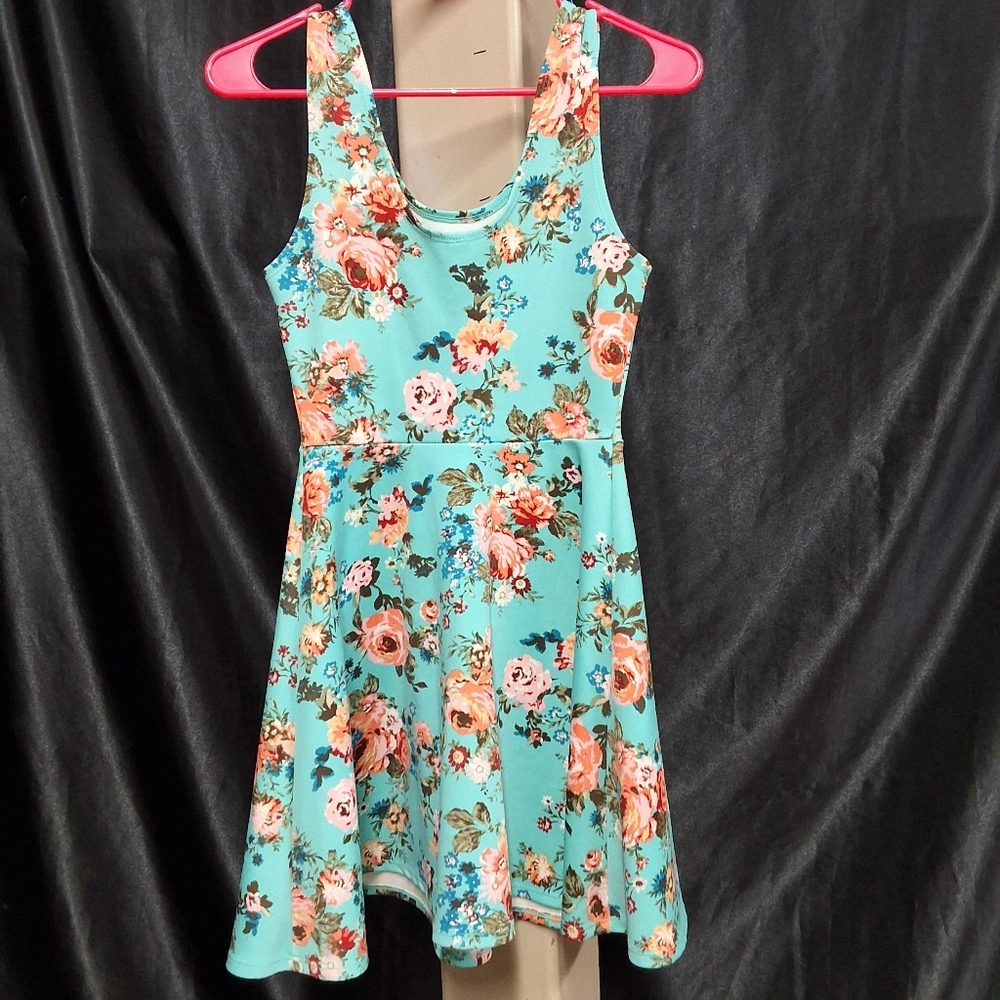 No Boundaries Blue Pink Fit and Flare Midi Dress